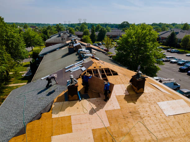 Best Roof Gutter Cleaning  in Searingtown, NY