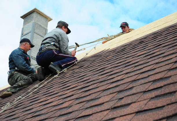 Best Shingle Roofing Installation  in Searingtown, NY